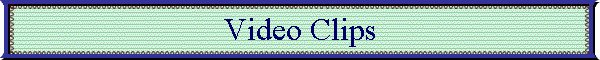 Video Clips